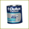 Gruntavimo dažai Stain Block Plus iš "Dulux"