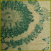Nuotraukoje: Smaragdo ir bronzos projektas, "O-Design" / "Cole&Son" tapetai, geometrinė kolekcija, "Labirintas"